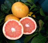 Mixing grapefruit with medicines