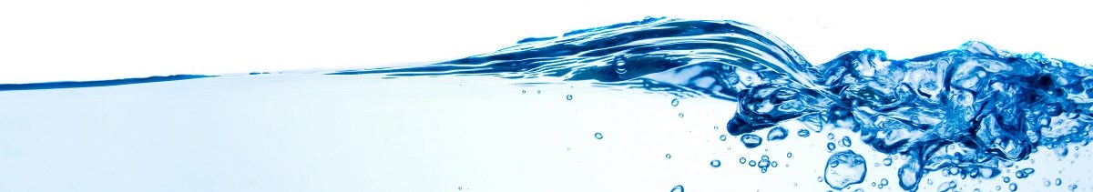 AWPM Australian Water Project Management - Key Personnel